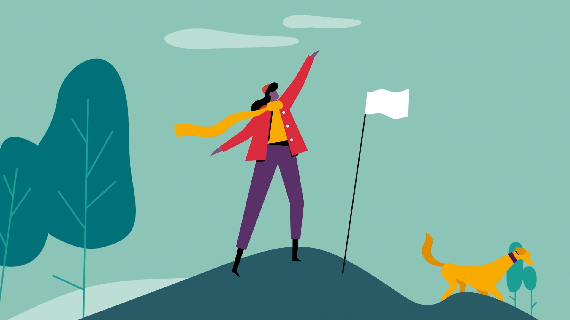 INFERENCES EXPLAINER